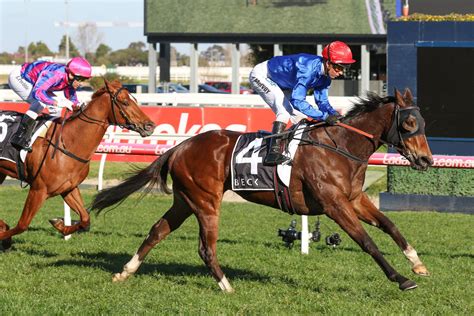 queensland derby tips|Queensland Derby preview and tips: Runner.